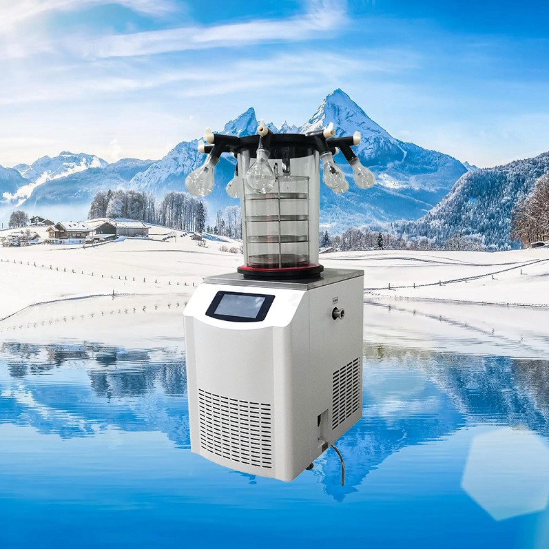 真空冷凍干燥機/凍干機/立式式普通型液晶冷凍干燥機/南京雪萊