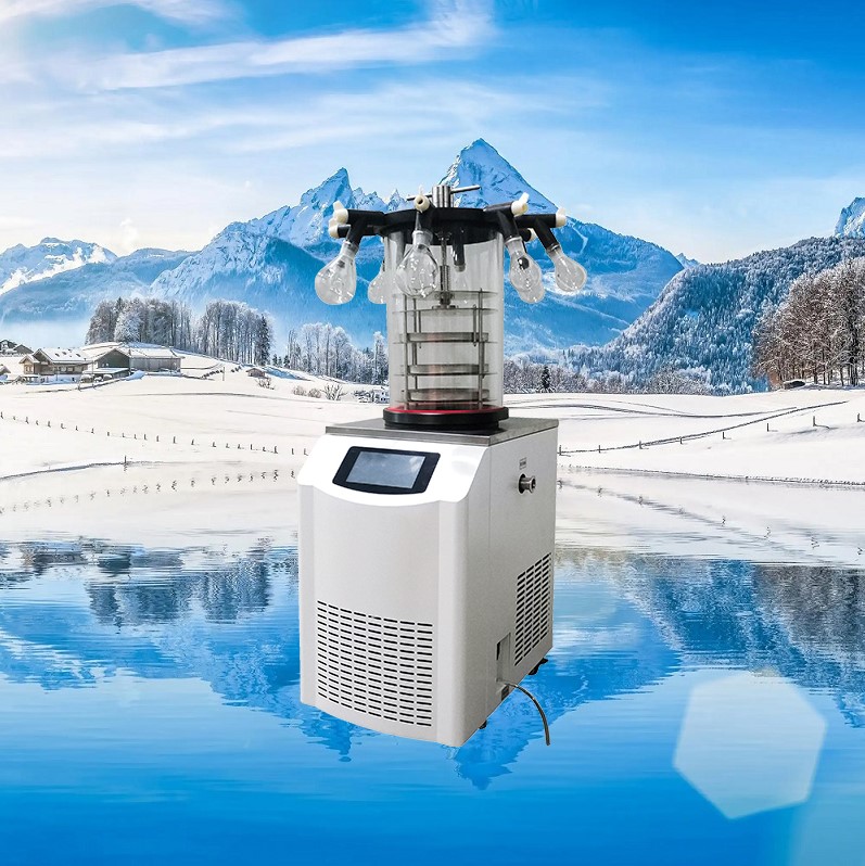 真空冷凍干燥機/凍干機/立式式普通型液晶冷凍干燥機/南京雪萊