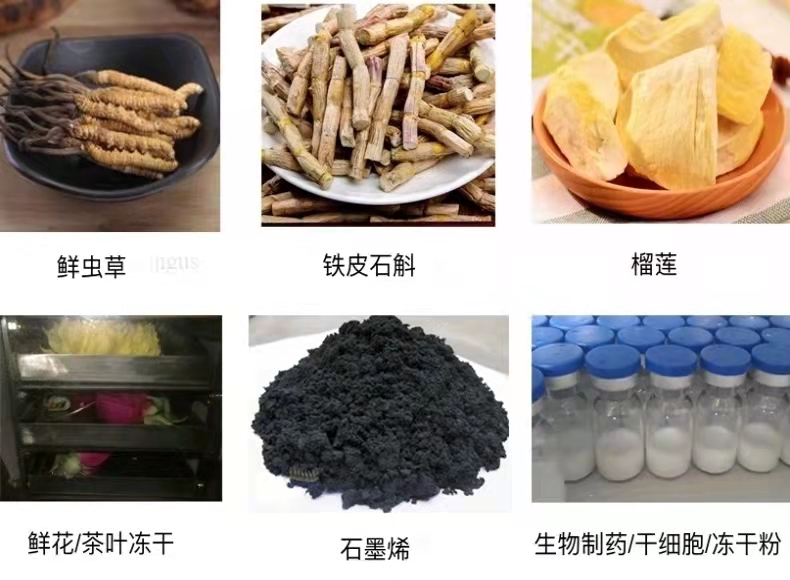 真空冷凍干燥機/凍干機/立式式普通型液晶冷凍干燥機/南京雪萊(圖11)