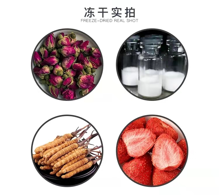 真空冷凍干燥機/凍干機/立式式普通型液晶冷凍干燥機/南京雪萊(圖8)