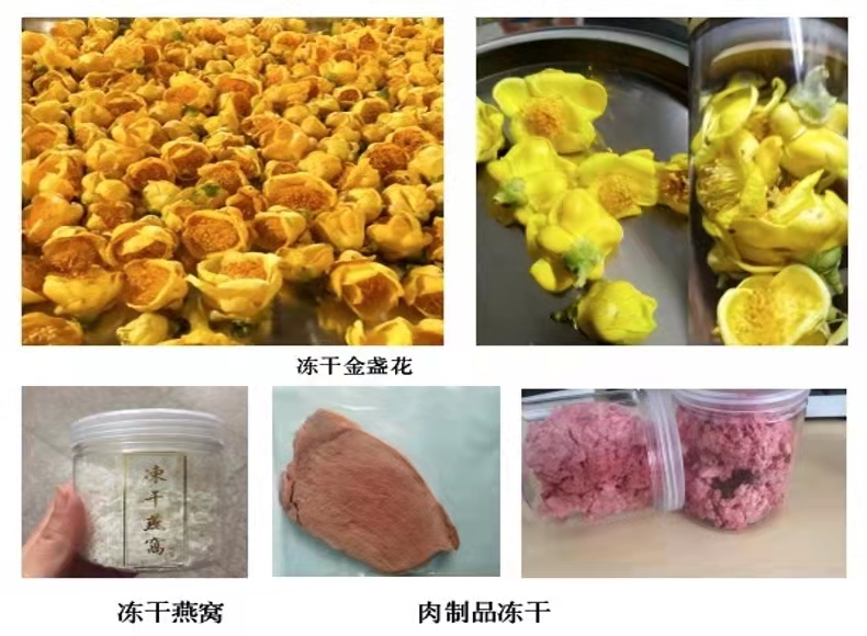 真空冷凍干燥機/凍干機/立式式普通型液晶冷凍干燥機/南京雪萊(圖9)