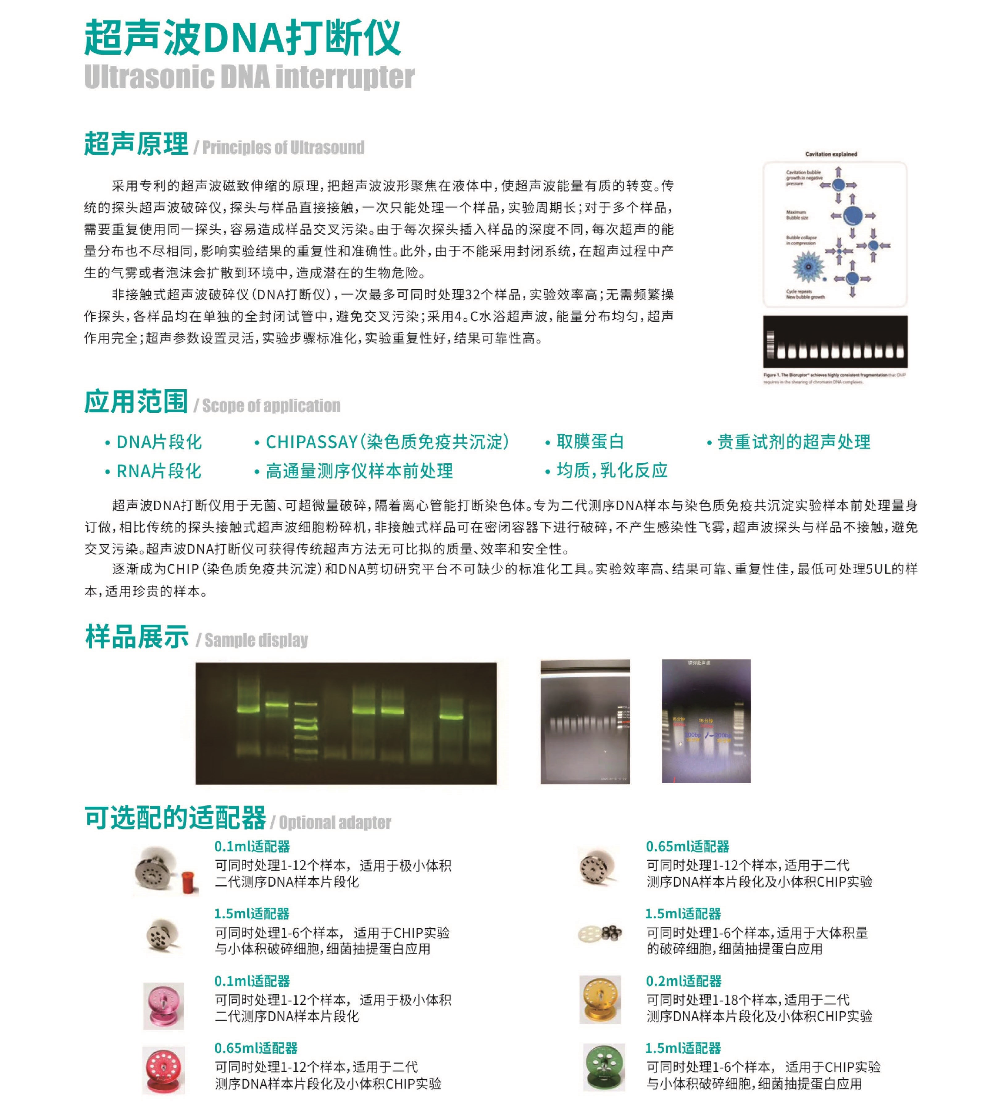 超聲波DNA打斷儀 非接觸式DNA細(xì)胞破碎儀beidi-24A/48A/96A(圖2)